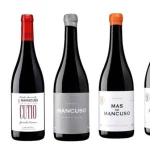 Bodega Familia Navascués 3 Bodega Familia Navascués Vinos