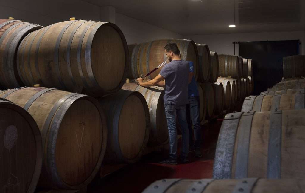 Bodegas Ponce Bodegas Ponce