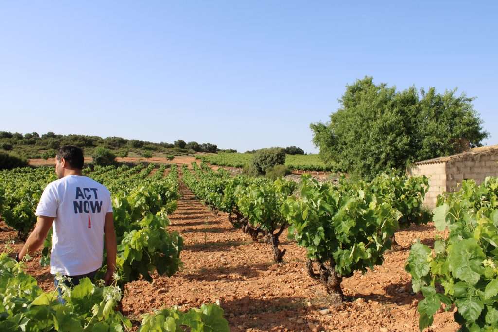 Bodegas Ponce La Casilla Bodegas Ponce La Casilla