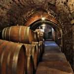 Bodegas Frontonio