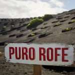 PuroRofe_2018 Puro Rofe