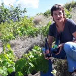 bodegas-bentomiz-1 Bodegas Bentomiz