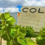 celler colet 3 Celler Colet Viticultors