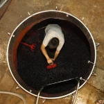 Celler Pardas