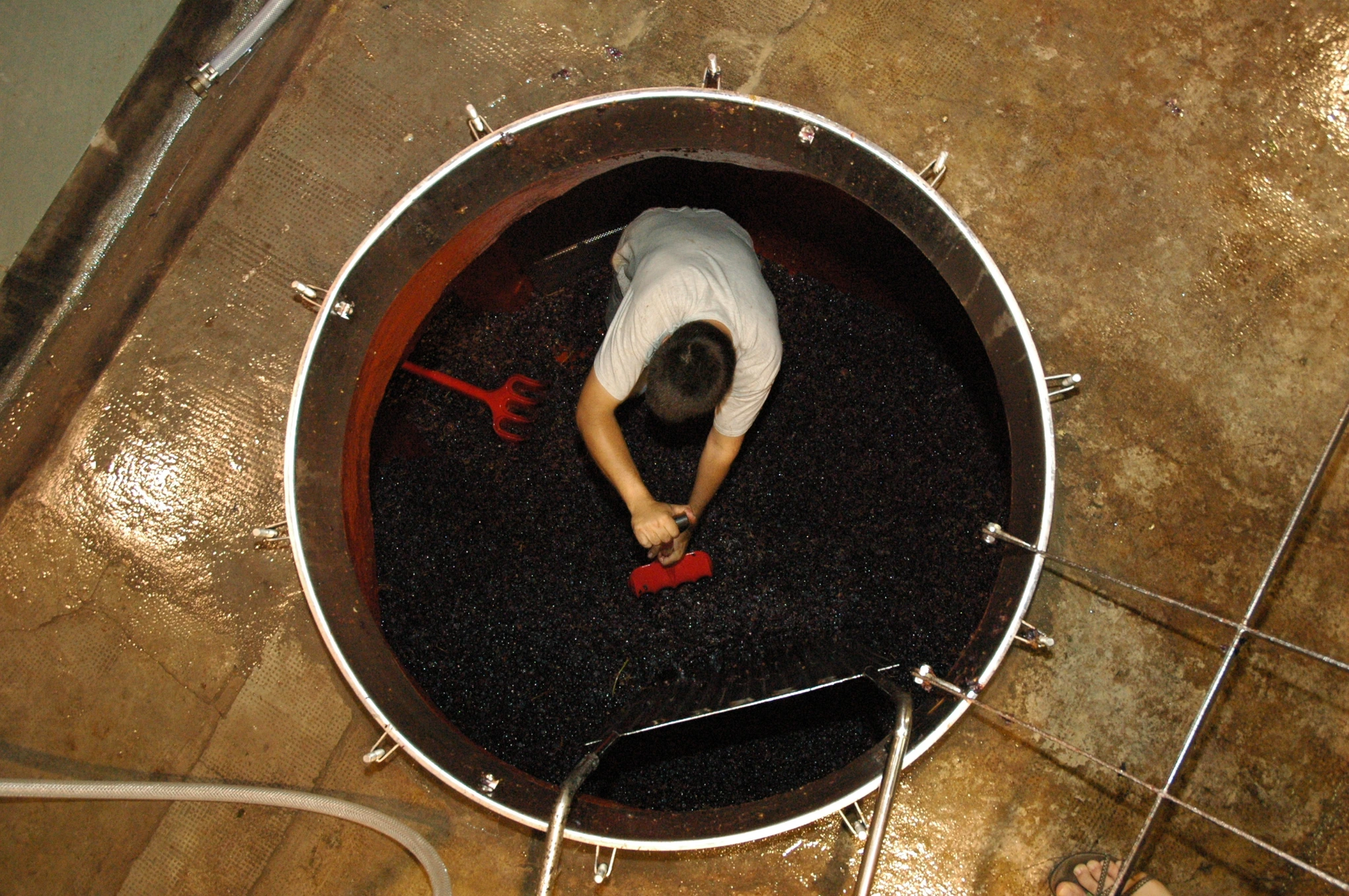 Celler Pardas