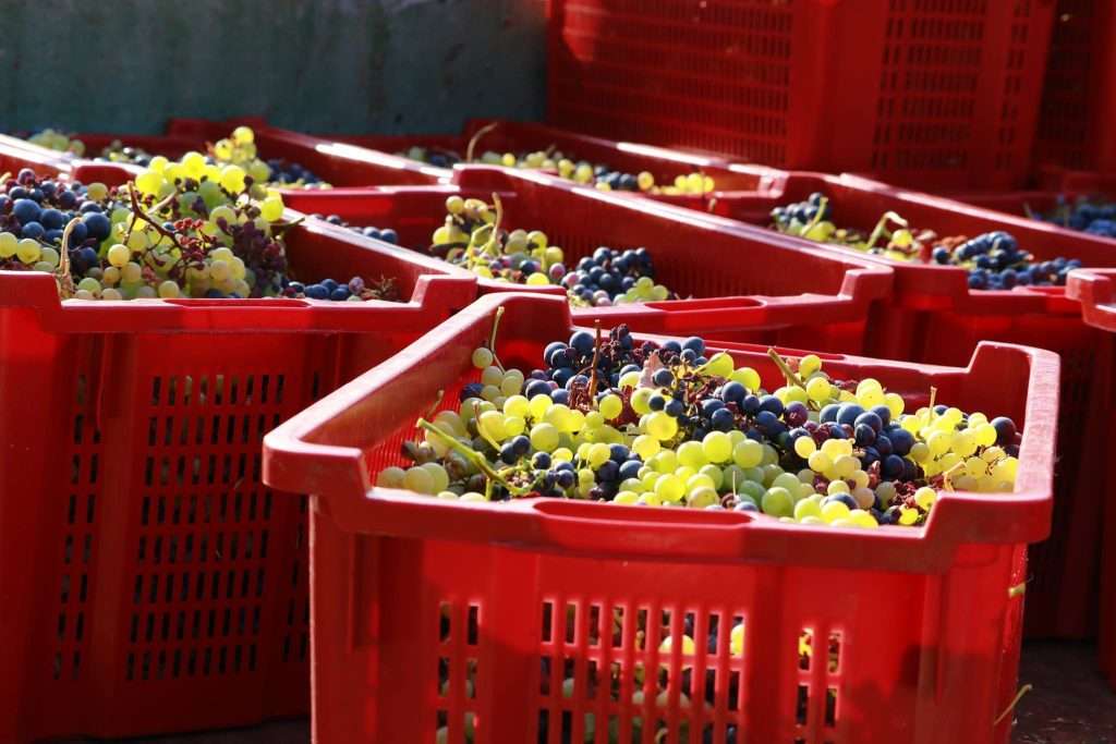 Arribas-Wine-3 Arribas Wine