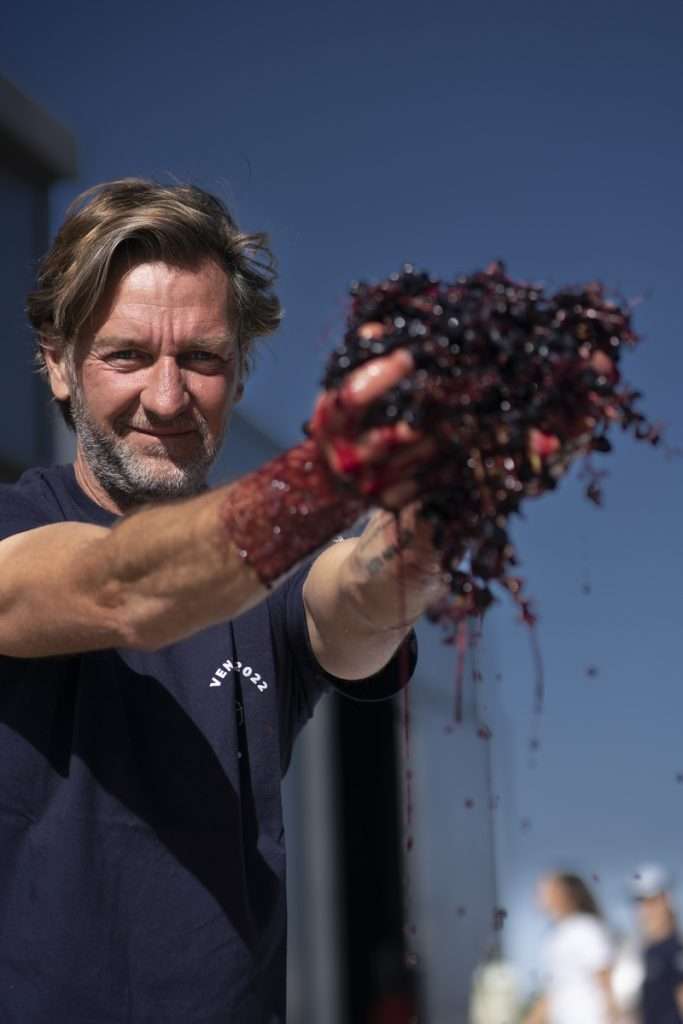 Fin de Vendimia 2022 - 198 (1) Michelini Wines