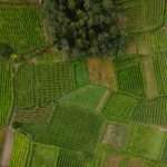 PATCHWORK SMALL ALVARINHO PARCELS Soalheiro