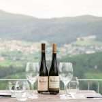 WINES THAT REPRESENT A TERRITORY Soalheiro