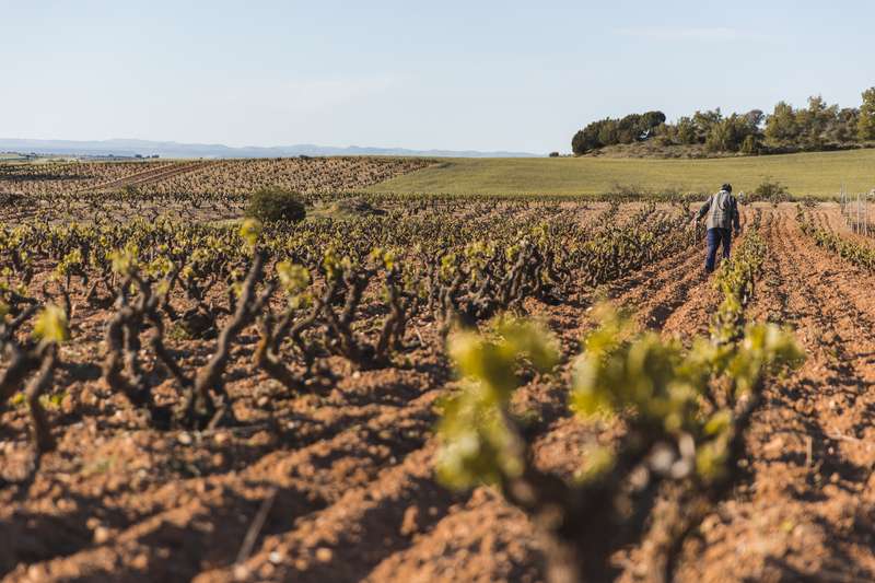 bodegas-antidoto-2 Bodegas Antídoto