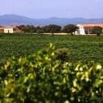 Bodegas Arrayán