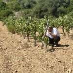 fredi-torres Lectores Vini
