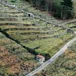 Silice Viticultores Galicia