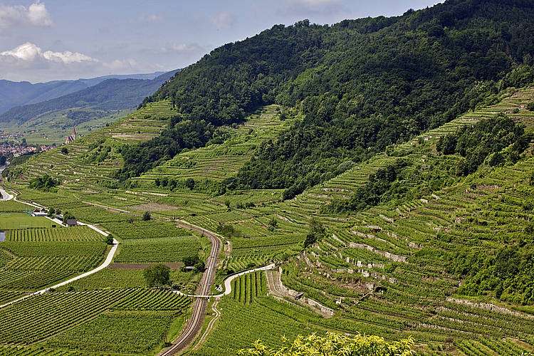 weingut-prager Weingut Prager