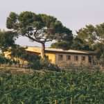 Gramona-7