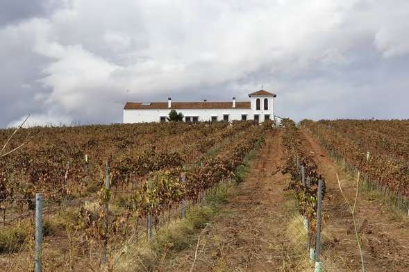 visita-bodega-pentateuco-589x392 Pentateuco Wines