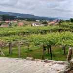 carrusel-fulcro-03 Bodegas Fulcro