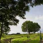 Bodegas Itsasmendi 2