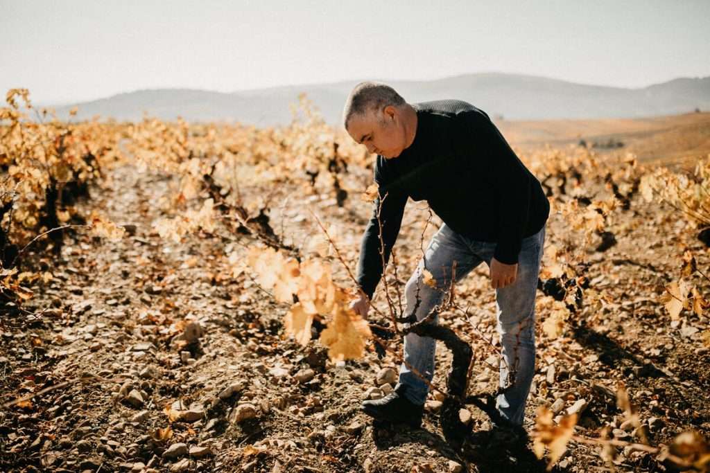 vinos valtuille 2