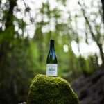 meursault-la-barre-wine