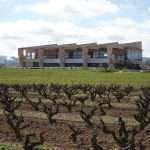 Vinos Anima Mundi