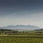 Vinos Anima Mundi