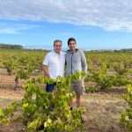Vinos Anima Mundi
