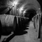 Cave souterraine - 2 Domaine de la Rectorie