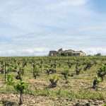 Miraflores-Alta-muchadal-leclapart Bodega Muchada-Léclapart