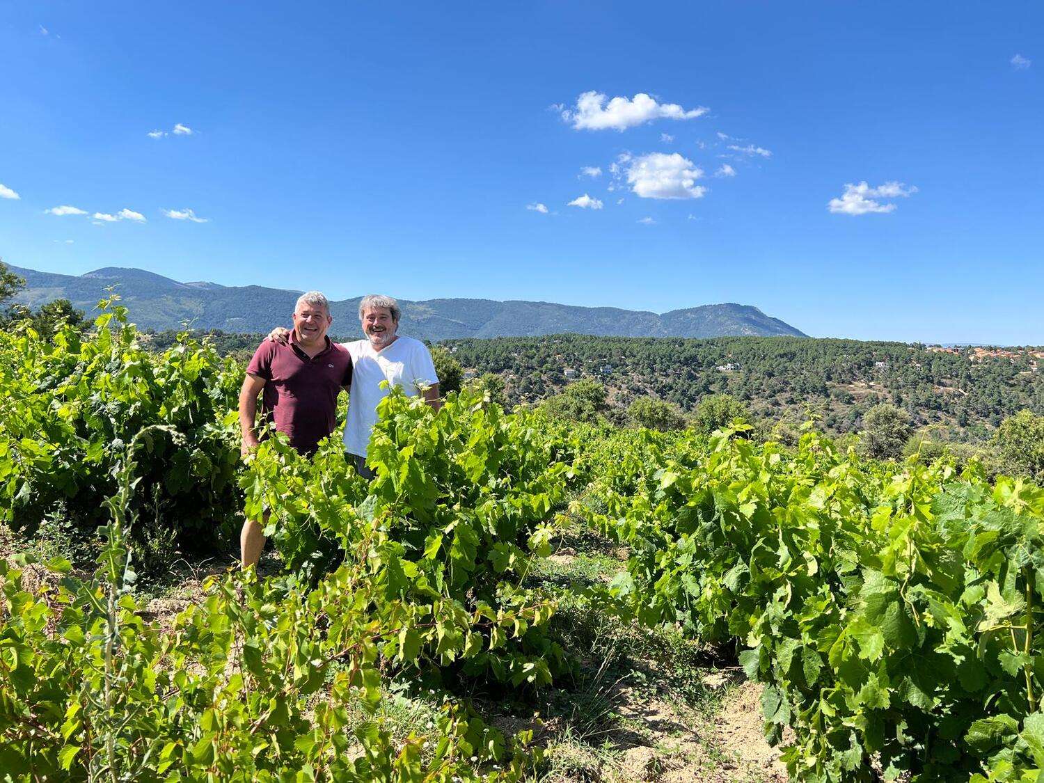 PHOTO-2024-07-30-18-56-35 Marc Isart - Salvajes de Gredos - Bodegas Cinco Lenguas