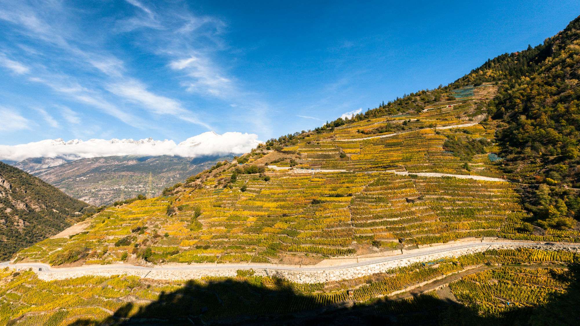 Vineyard St Jodern Kellerei Visperterminen