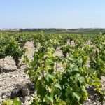 img156 Bodega RETA
