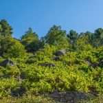 img92 Bodega RETA
