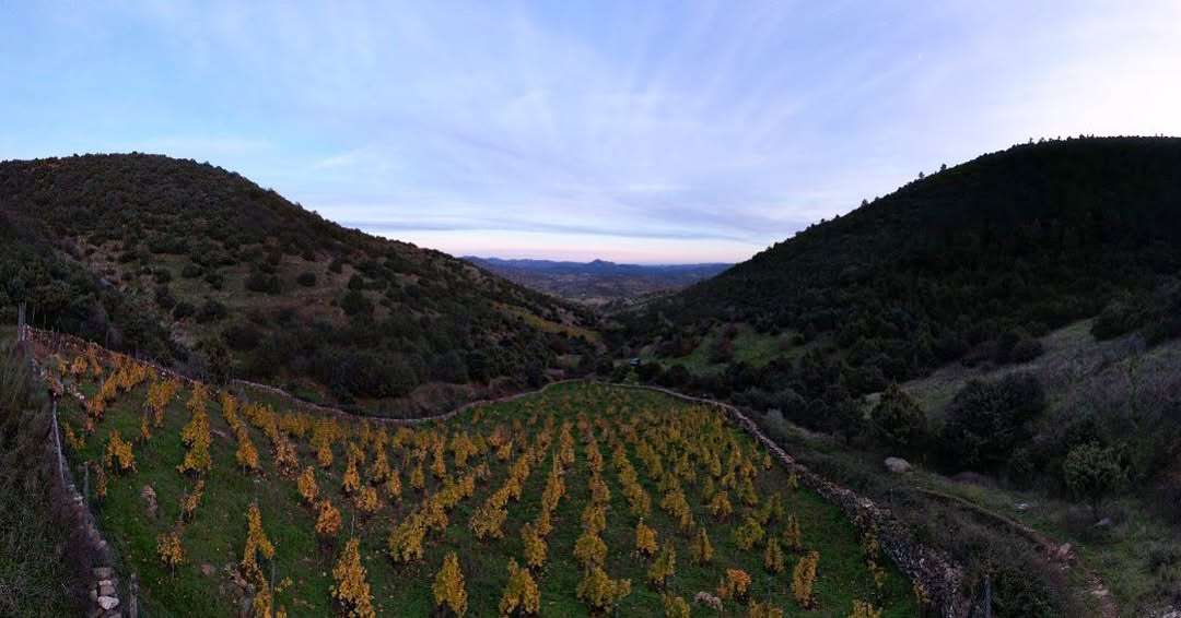 378063625_819413136326831_6256947288740275361_n Bodega El Reventón, Sierra de Gredos