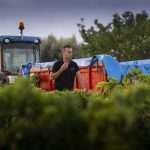 Celler Josep Vicens, Terra Alta
