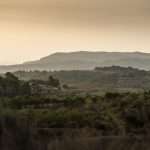 Celler Josep Vicens, Terra Alta