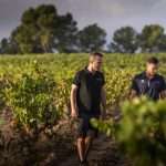 Celler Josep Vicens, Terra Alta