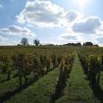 Clos de la Dioterie