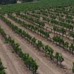 DJI_20230719114934_0104_D Isabelle Brunet Calcite Massif del Garraf