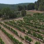 DJI_20230719115157_0112_D copie Isabelle Brunet Calcite Massif del Garraf