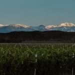 Gualtallary-1 El Enemigo Wines Mendoza, Argentina