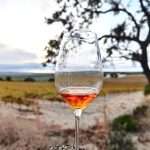 amontillado-lagar-de-los-frailes Bodega Lagar de los Frailes