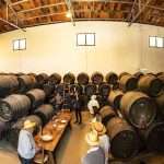 bodega-semienterrada-albariza-magia-moriles-altos-lagar-de-los-frailes Bodega Lagar de los Frailes