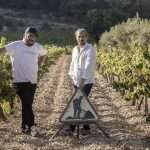 winery Lectores Vini