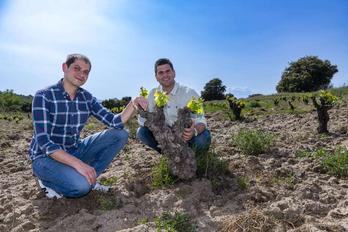 Bodega a Pie de tierra