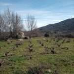 Bodega a Pie de tierra