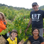 Viñedos Castro Laborda