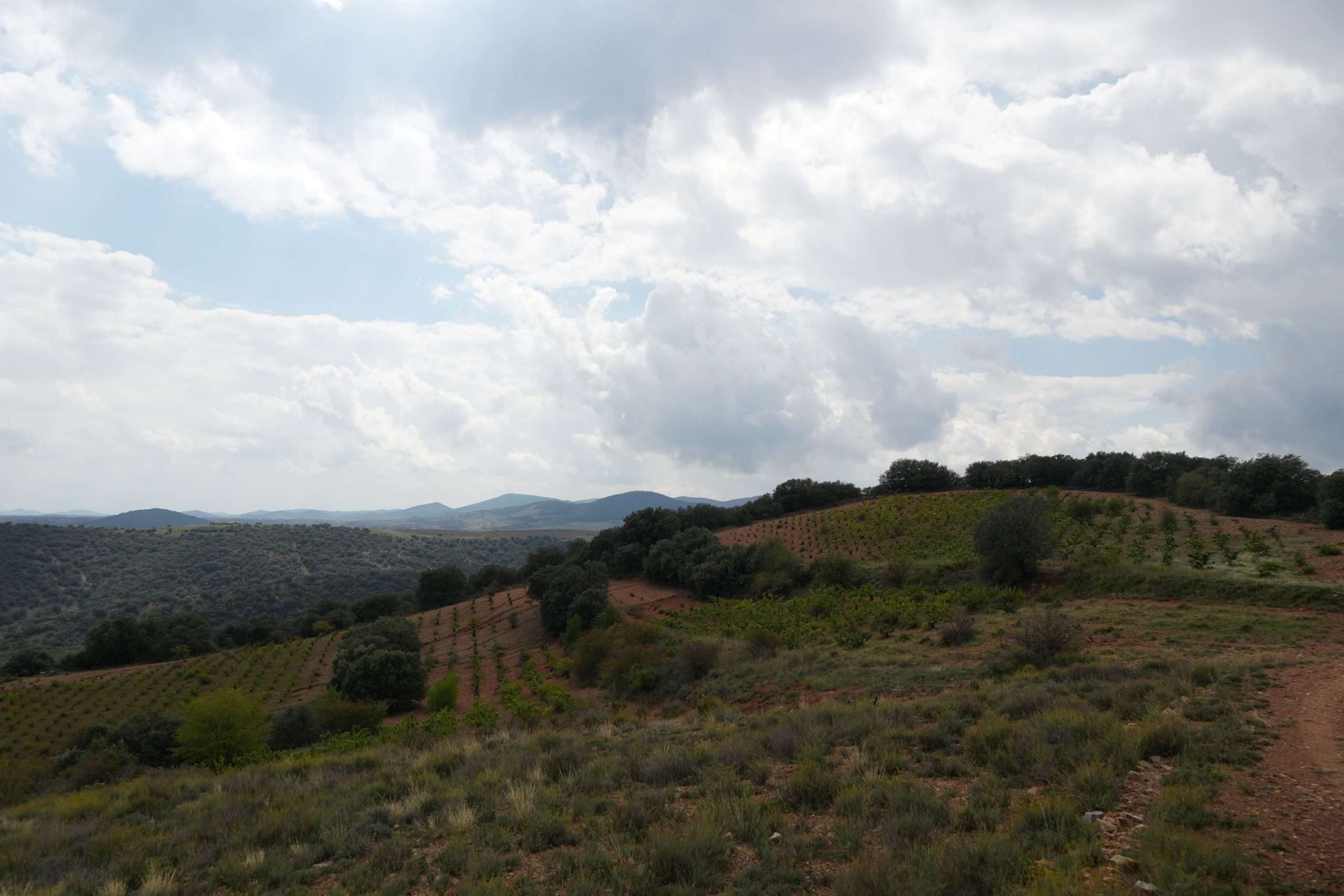 Viñedos Castro Laborda
