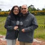 Textura partners
