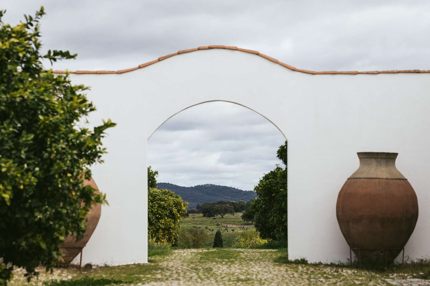 Cortes de Cima Arc low